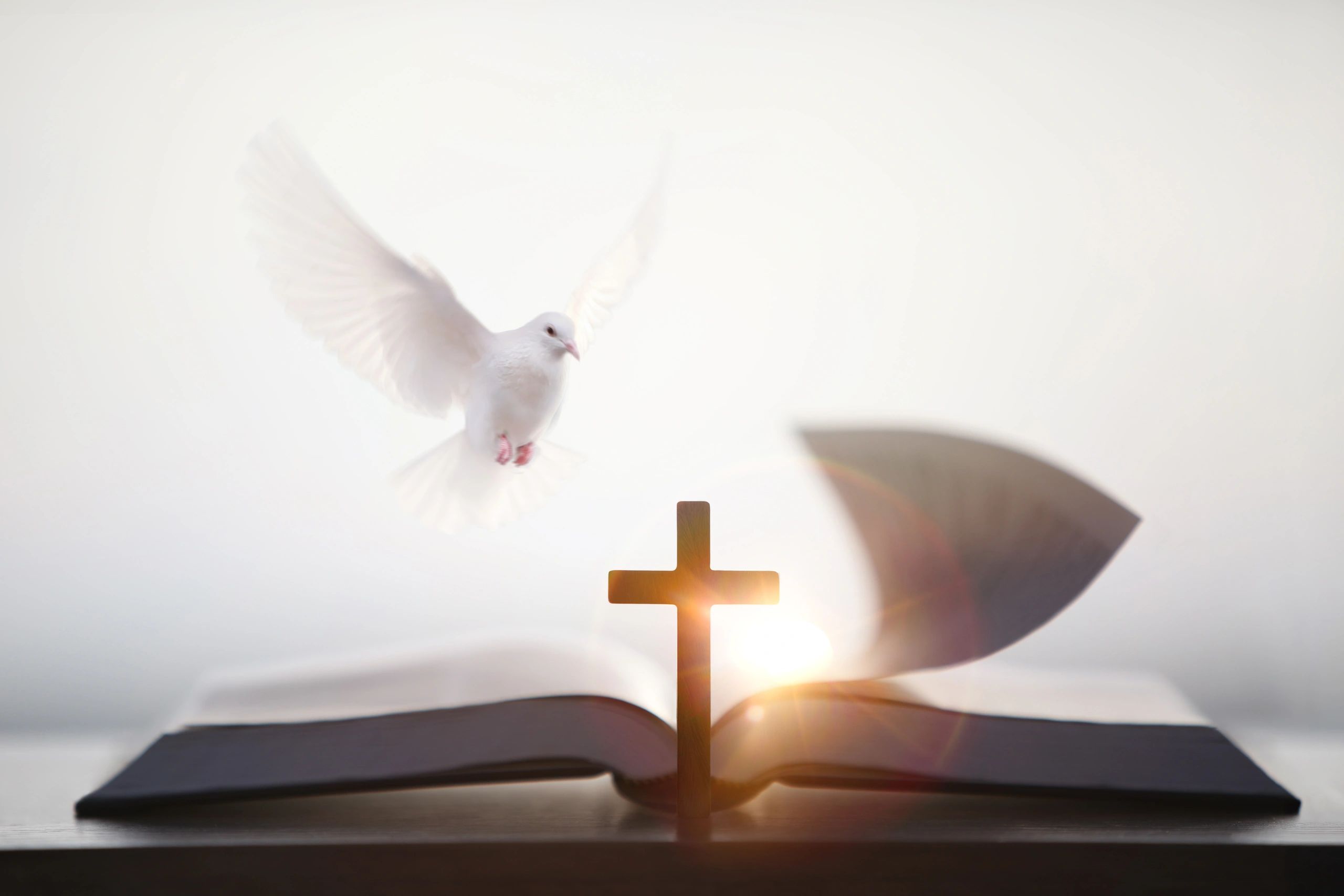 White dove near a cross and open Bible
